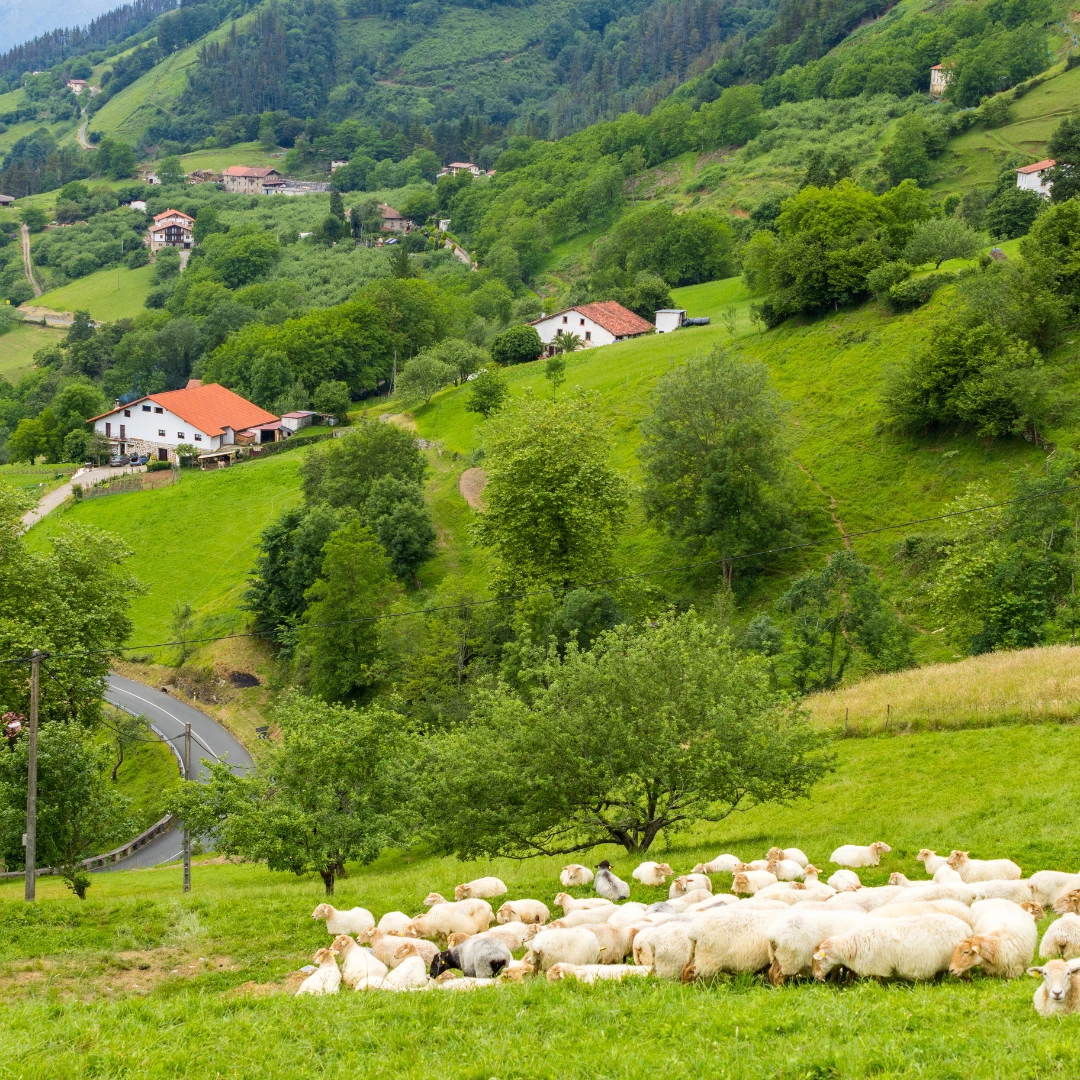 Agrotourismus