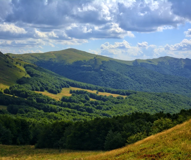 🌲🏞️ Bieszczady: Przygoda w dzikiej krainie natury! 🐸🦊🦉